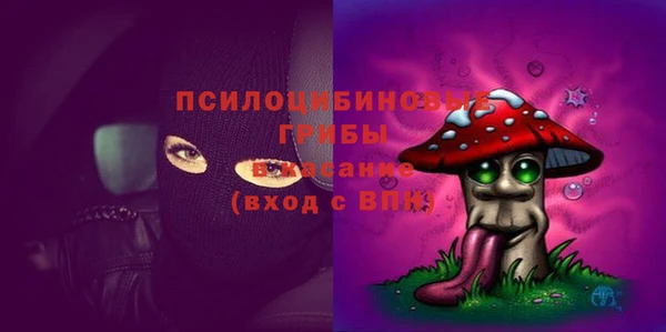 круглые Богородицк