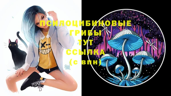 героин Богородск