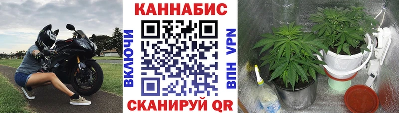 МАРИХУАНА Bruce Banner  где найти   Грозный 